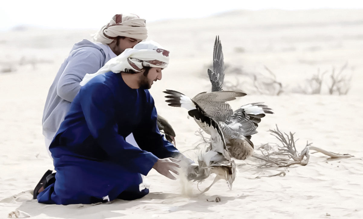 «هوبره ایرانی» بازیچه صیادان عرب!