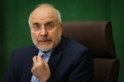 تاکید رئیس مجلس بر ضرورت کار کارشناسی در بررسی لایحه بودجه