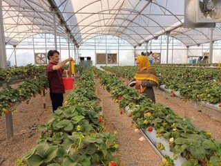 همکاری ستاد اجرایی فرمان امام و سازمان حفاظت محیط‌ زیست برای توسعه مشاغل سبز