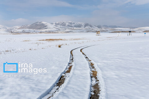 سهند سپیدپوش شد