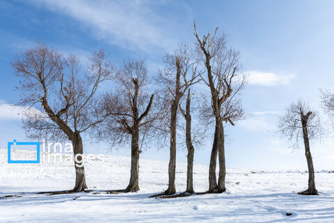 سهند سپیدپوش شد