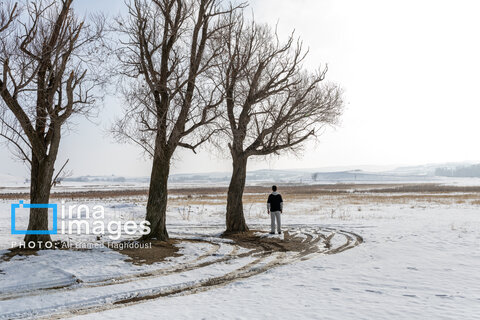 سهند سپیدپوش شد