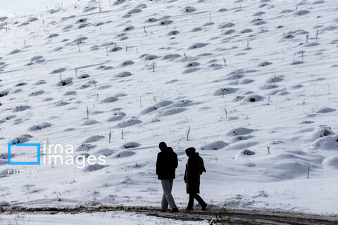 سهند سپیدپوش شد