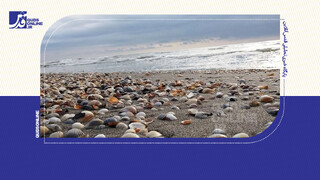 فیلم | خشک شدن یک سوم دریای خزر تا ۲۱۰۰