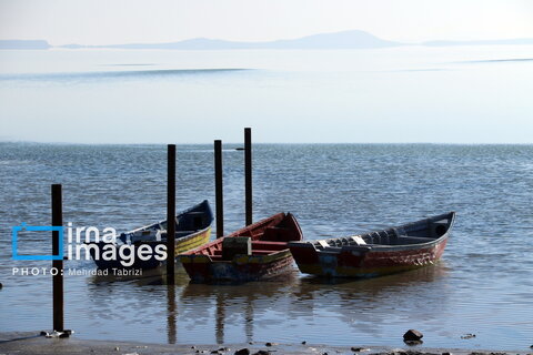 افزایش ۴۰ سانتی تراز دریاچه ارومیه