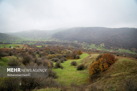طبیعت زیبای پاییزی جنگل فندقلو نمین