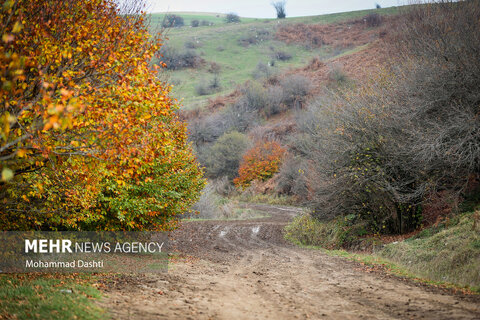 طبیعت زیبای پاییزی جنگل فندقلو نمین