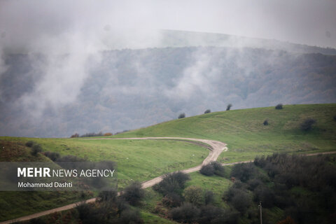 طبیعت زیبای پاییزی جنگل فندقلو نمین