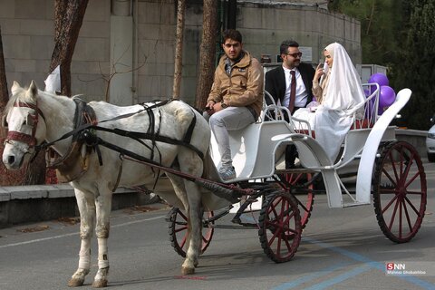 عکس روز | در حاشیه مراسم ازدواج دانشجویی ۲۵۰ زوج دانشگاه تهران