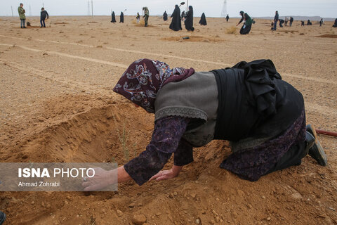 پویش کاشت نهال با عنوان در سایه مادر