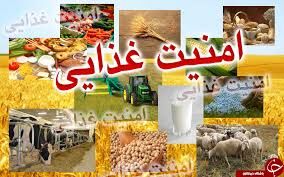 طرح توانمندسازی برای پیشگیری از ناامنی غذایی اجرا می‌شود