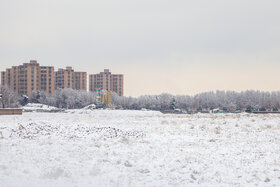 گزارش تصویری | حال و هوای برفی مشهد