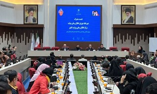 رییس مرکز اطلاع رسانی وزارت کشور: فقط یک درصد از شوراهای شهر کشور دچار تخلف شده‌اند