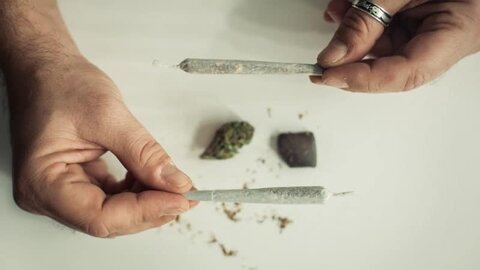 مهمانی به صرف «کمیکال»!/ نگاه امنیتی به اعتیاد غلط است