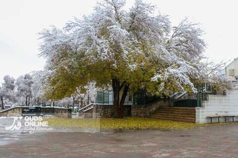 حال و هوای زمستانی و برفی مشهد