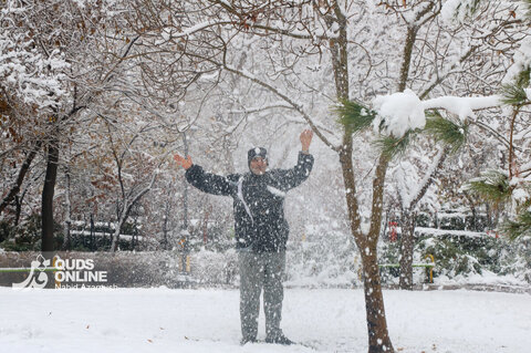 حال و هوای برفی مشهد