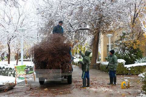 حال و هوای زمستانی و برفی مشهد