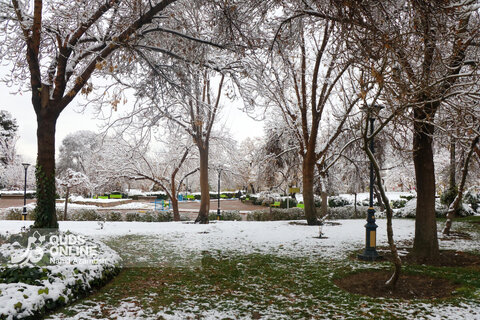 حال و هوای زمستانی و برفی مشهد