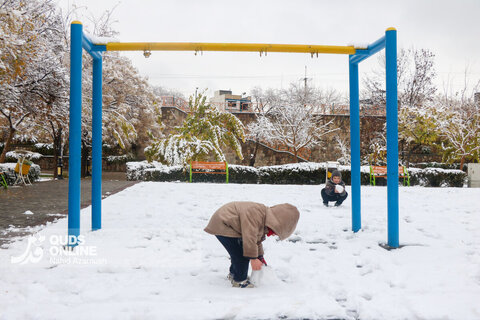 حال و هوای زمستانی و برفی مشهد