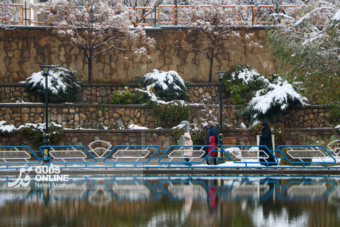 حال و هوای زمستانی و برفی مشهد