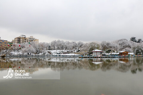 حال و هوای زمستانی و برفی مشهد