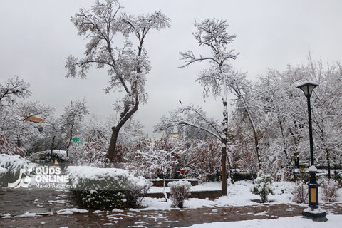 حال و هوای زمستانی و برفی مشهد