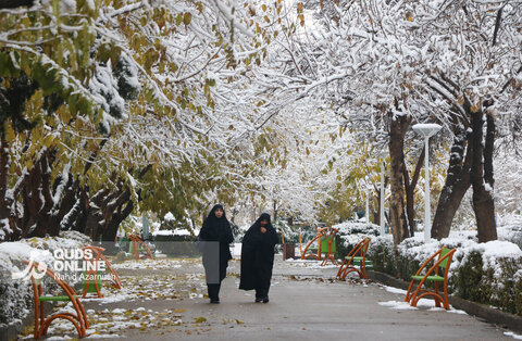 حال و هوای زمستانی و برفی مشهد