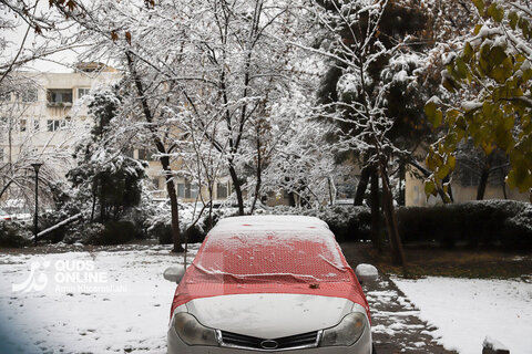 حال و هوای برفی مشهد