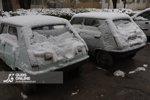 حال و هوای برفی مشهد