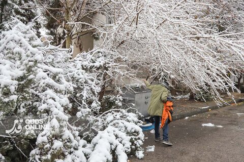 حال و هوای برفی مشهد