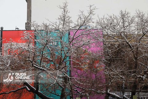 حال و هوای برفی مشهد