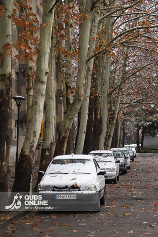 حال و هوای برفی مشهد