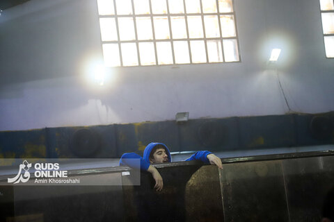 گزارش تصویری | مسابقات شنای مسافت کوتاه جام ولایت امام رضا (ع)