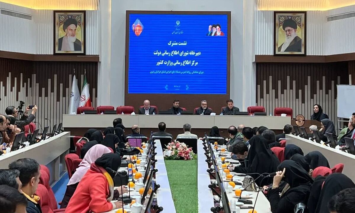 رییس مرکز اطلاع رسانی وزارت کشور: فقط یک درصد از شوراهای شهر کشور دچار تخلف شده‌اند