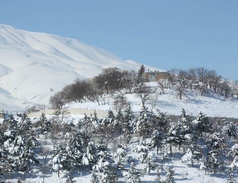 هواشناسی نسبت به یخبندان در چهارمحال و بختیاری هشدار داد