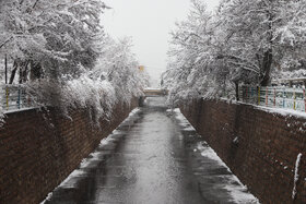 هوای مشهد پاک است