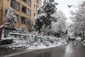 گزارش تصویری | بارش برف کم سابقه در مشهد