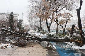 بارش ۲۰ سانتی‌متری برف در مشهد