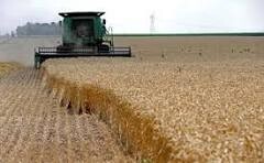 افزایش دی‌اکسید کربن در محیط زیست ارزش غذایی خوردنی‌ها را کاهش می‌دهد