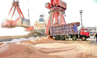 هدررفت سالانه ۱۴۹ میلیون لیتر گازوئیل یارانه‌ای به خاطر یک تصمیم نابجا