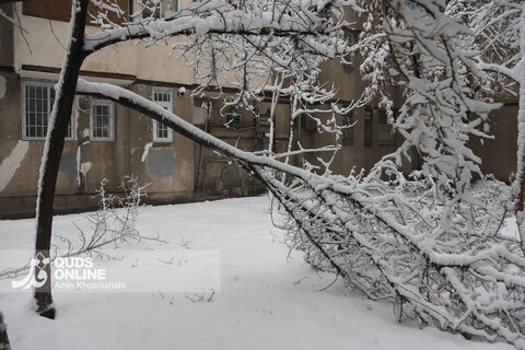 گزارش تصویری | بارش برف کم سابقه در مشهد