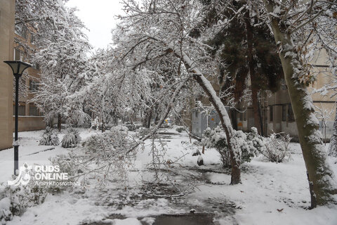 گزارش تصویری | بارش برف کم سابقه در مشهد
