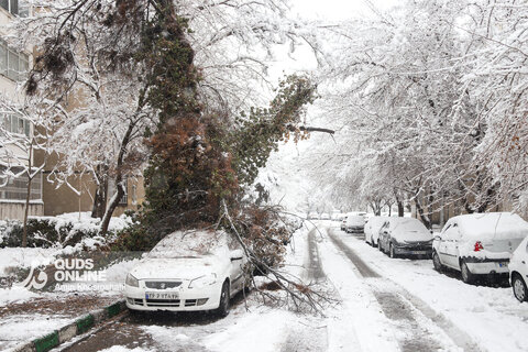 گزارش تصویری | بارش برف کم سابقه در مشهد