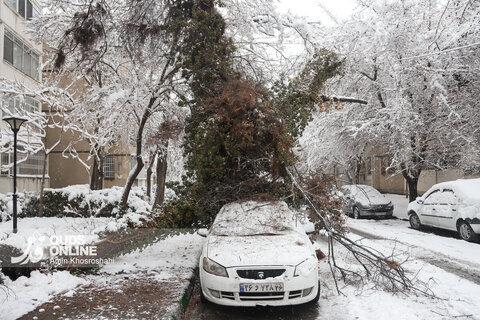 بارش برف کم سابقه در مشهد