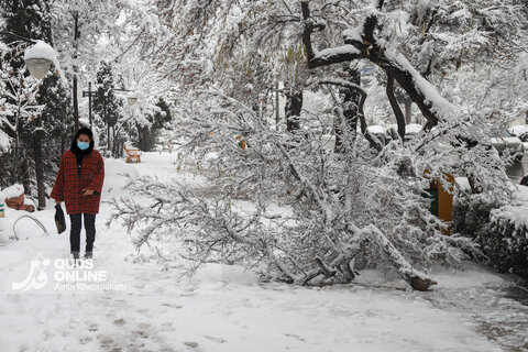 گزارش تصویری | بارش برف کم سابقه در مشهد