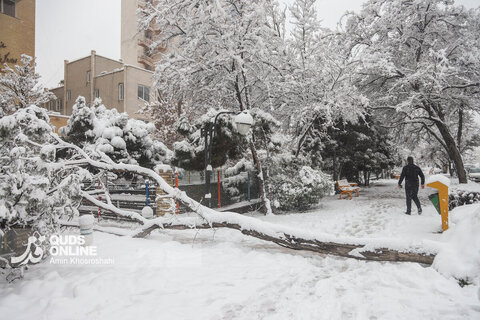 گزارش تصویری | بارش برف کم سابقه در مشهد