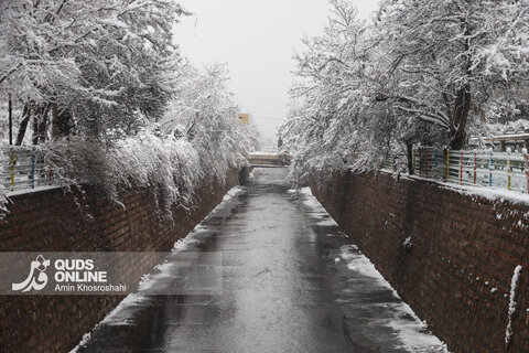 گزارش تصویری | بارش برف کم سابقه در مشهد