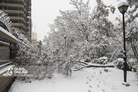 گزارش تصویری | بارش برف کم سابقه در مشهد