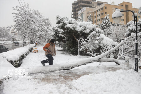 گزارش تصویری | بارش برف کم سابقه در مشهد