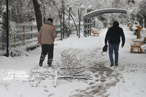 گزارش تصویری | بارش برف کم سابقه در مشهد